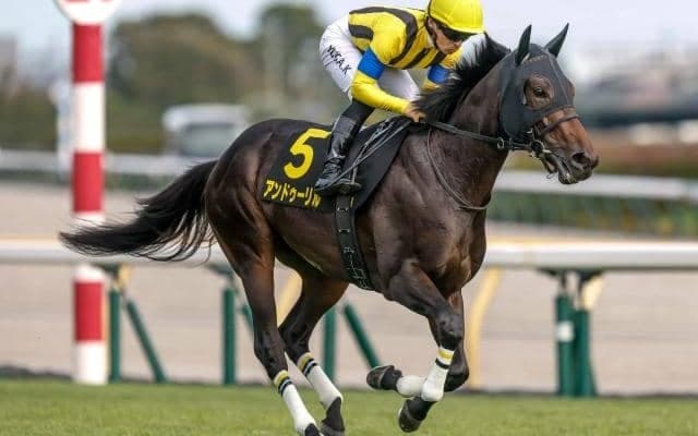 【ホープフルS予想オッズ】アンドゥーリルが予想1番人気