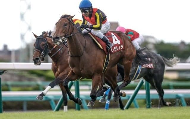 【有馬記念予想オッズ】レガレイラが予想1番人気