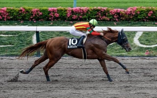 【名古屋大賞典注目馬】昨年覇者はのちにJpnI・2勝 スター候補の誕生に期待したい一戦