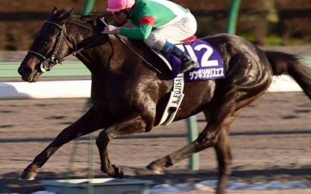 有馬記念着差ランキング 1位は“GI史上最大タイ”の圧勝劇