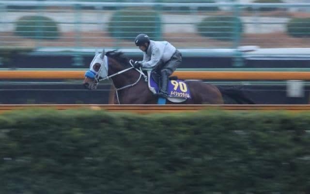 メイショウタバル、有馬記念最終追い切り速報/栗東トレセンニュース