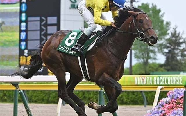 【中山金杯想定】シリウスコルト、カネラフィーナなど14頭