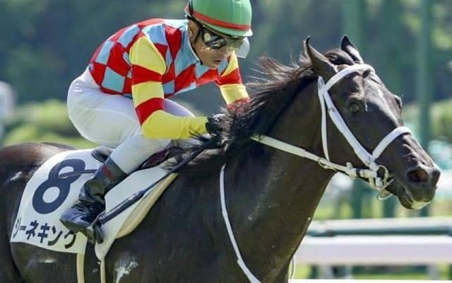 【ホープフルS】コントレイル産駒がGI初出走初制覇なるか ジーネキングとバドリナートの豪華2頭出しだ