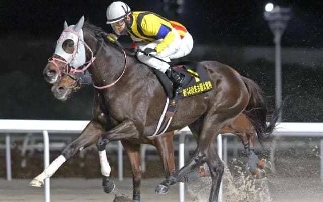 【名古屋・名古屋大賞典結果】アピーリングルックが重賞初挑戦で初制覇