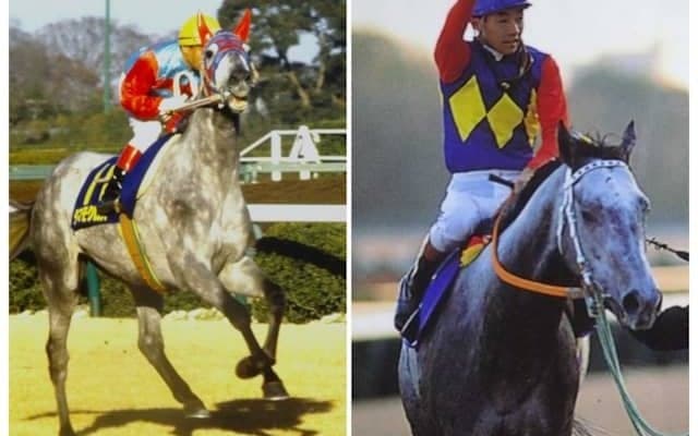 オグリキャップvsタマモクロス 芦毛の両横綱が88年有馬記念でみたび激突