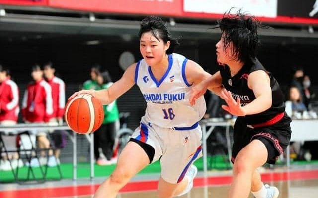 福井工大福井は3回戦進出　京都両洋を破る　全国高校バスケ女子