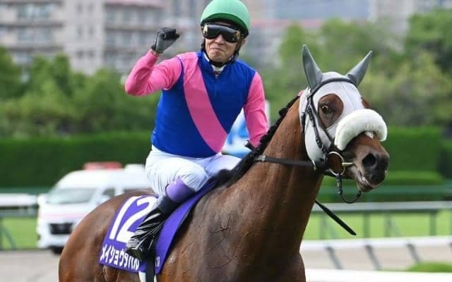 武豊騎手が宝塚記念を制した年の有馬記念に共通点は？