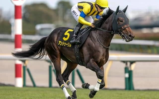 【ホープフルS枠順確定】アンドゥーリルは6枠12番、ショウナンガルフは7枠13番