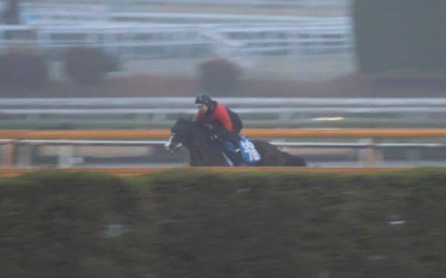 ウエストナウ、中山金杯1週前追い切り速報/栗東トレセンニュース