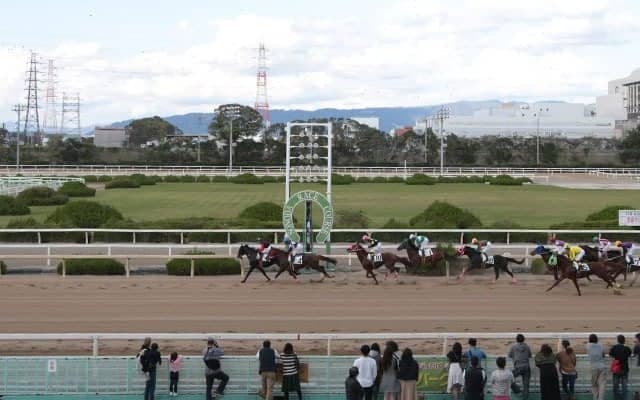 【園田・兵庫GT結果】ハッピーマンが連勝で重賞2勝目を挙げる