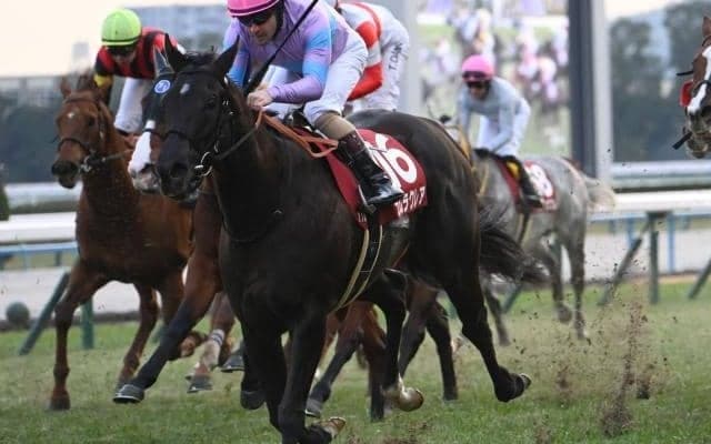 【阪神C出走馬・騎手確定】ナムラクレア＆C.ルメール騎手、ジューンブレア＆武豊騎手など16頭