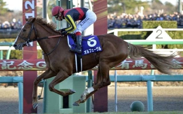 JRAから粋な“クリスマスプレゼント”　感動のラストランに大接戦、圧勝劇…公式Xが有馬記念名シーンのまとめ動画を公開