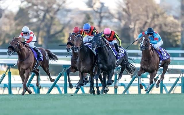 ドラマ『ザ・ロイヤルファミリー』の25年有馬記念と同じ枠に入ったのは？ 