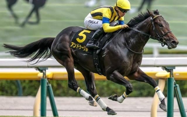 【ホープフルS・調教後馬体重】アンドゥーリルは462kg、ショウナンガルフは492kg