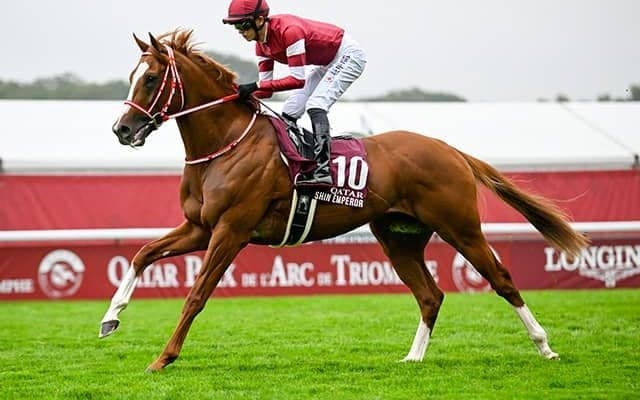 【有馬記念】最内「1枠」にはエキサイトバイオとシンエンペラー 枠順抽選会2025