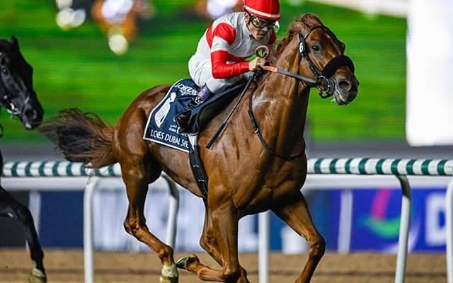 【有馬記念】過去10年で勝利＆複勝率トップ「5枠」に入ったのはダノンデサイル＆コスモキュランダ 枠順抽選会2025