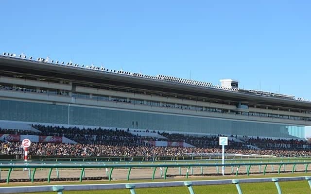 【有馬記念枠順確定】レガレイラは3枠5番、ダノンデサイルは5枠9番