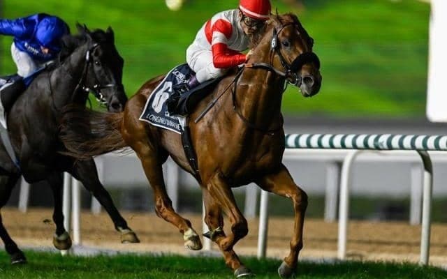 【有馬記念・調教後馬体重】ダノンデサイルは520kg、レガレイラは484kg