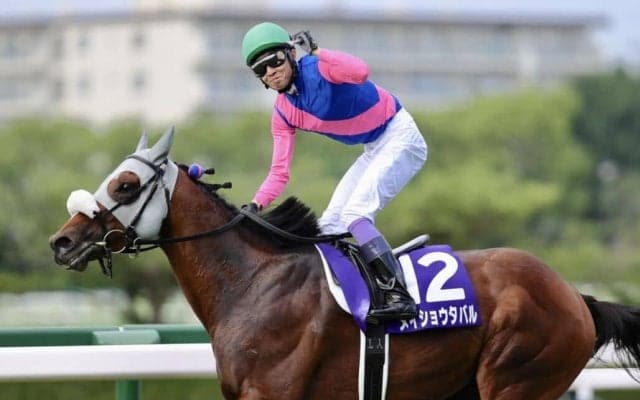 【武豊日記】大目標がいよいよ今週です