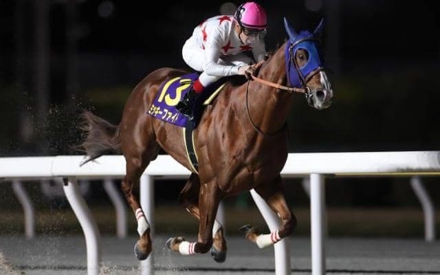 【大井・東京大賞典枠順】JpnI連勝中のミッキーファイトは7枠13番