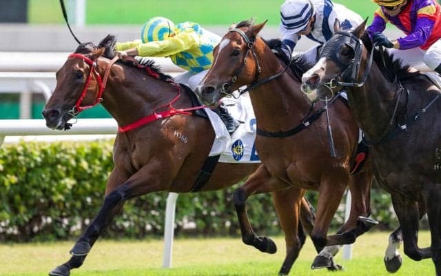 【有馬記念／追い切り診断】仕上がり抜かりなし「A」の高評価　“自己ベスト叩き出す”スタミナ強化のメニューで不安払拭