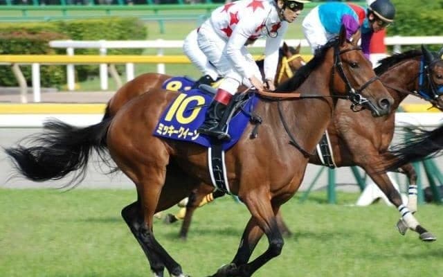 母はGI・2勝のミッキークイーン エピファネイア産駒のミッキーファルコンが新馬勝ち目指す