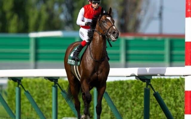 【ホープフルS予想】馬体調整の難しい時期は前走の間隔に注意！ 近2走のパフォーマンスを鵜呑みにできない軽視したい人気馬とは