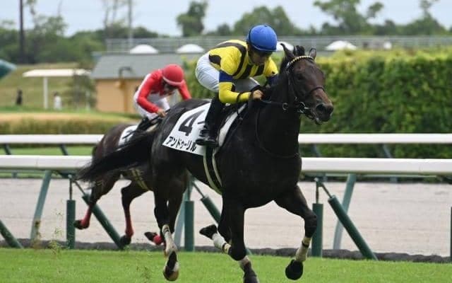 【AI予想・ホープフルS】厩舎ゆかりの血統馬でGI獲りへ！ 前走で能力の高さを証明した人工知能の本命馬