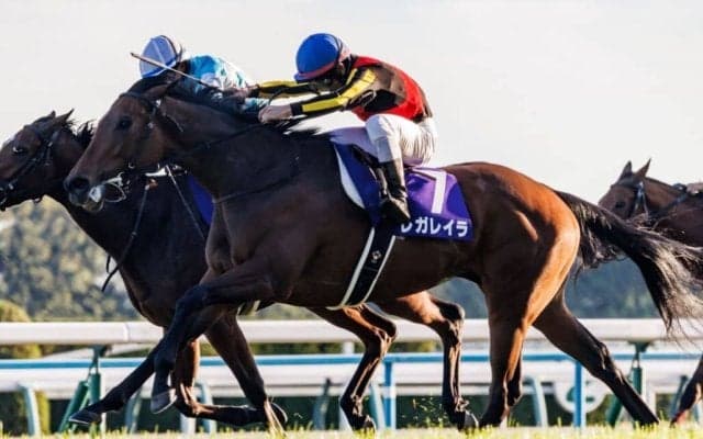 【有馬記念】連覇かかるレガレイラは484kg…出走馬の調教後の馬体重