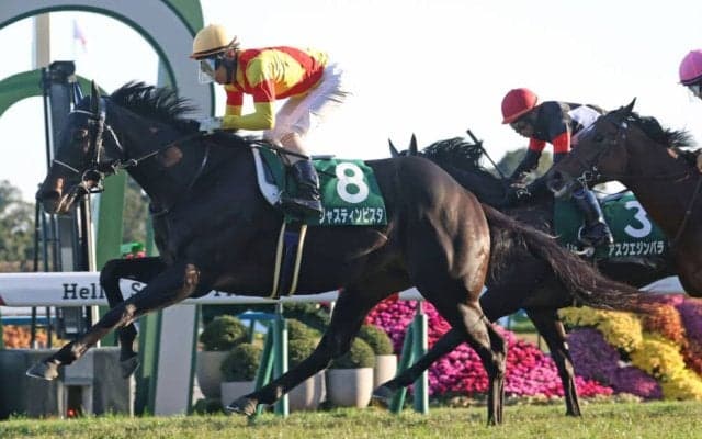 【ホープフルS】ジャスティンビスタは516kg…出走馬の調教後の馬体重