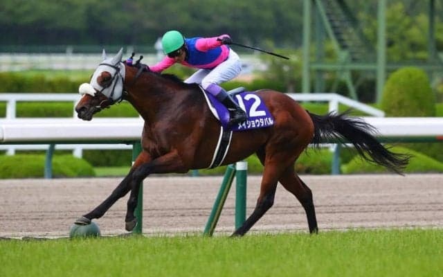 武豊騎手 今週の騎乗馬…日曜は有馬記念に一球入魂