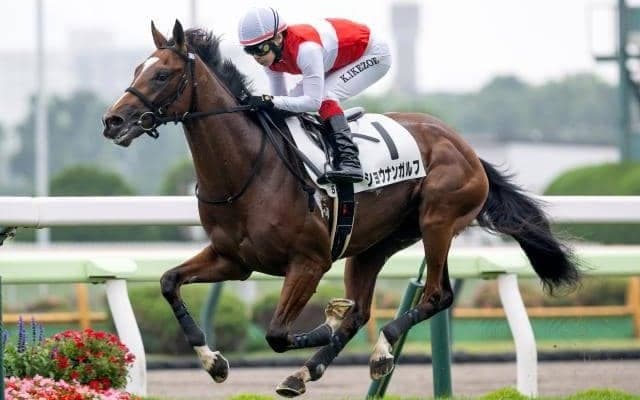 【今日の注目ポイント】ホープフルS＆中山大障害と阪神C