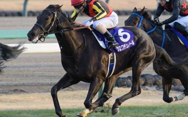 【ホープフルS】新馬＆未勝利組はGI昇格後0勝 重賞戦線での実績を重視したい一戦