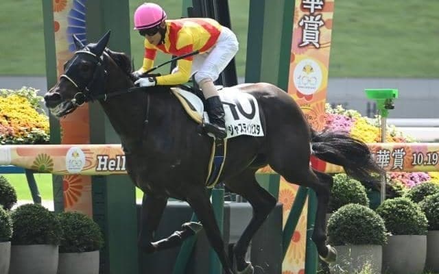 【ホープフルS予想】クラシックへの登竜門 次世代の主役に名乗りをあげるのは