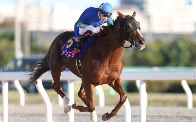 JBCレディスC連覇のアンモシエラが登録抹消 桑田牧場で繁殖入りの予定