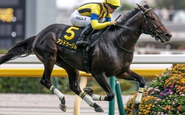 【ホープフルS・馬体重】アンドゥーリルは460kg(-2)、ジャスティンビスタは516kg(±0)