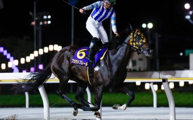 【大井・東京シンデレラマイル枠順】プラウドフレールは6枠12番