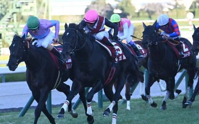 【阪神C結果】GI馬ルガルがナムラクレアとの接戦を制しレコードV！