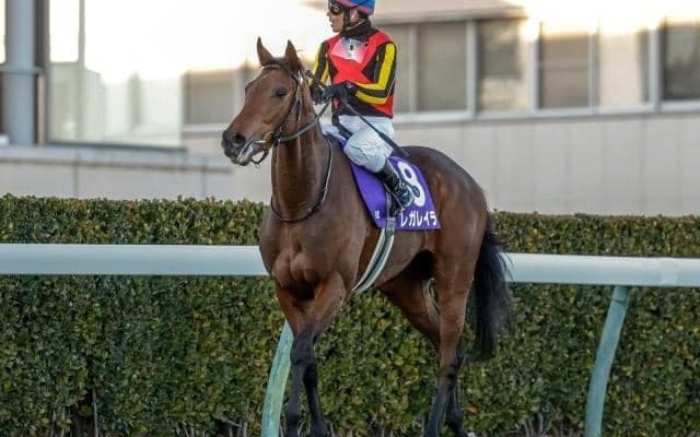 【有馬記念前日オッズ】レガレイラが3.2倍で1番人気