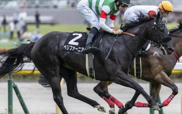 【ファイナルS】半兄はGI・3勝のエフフォーリア ペリファーニアが巻き返しVなるか（日曜中山12R）