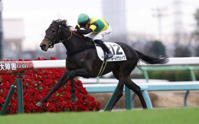 【新馬/中山5R】マーカンド騎乗 ルールザヴェイヴがデビューV