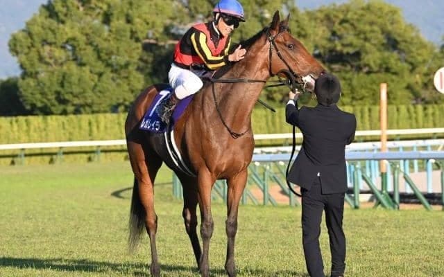 【AI予想・有馬記念】史上初の偉業達成へ準備万端！ 今年の中央競馬も牝馬が大トリを飾る