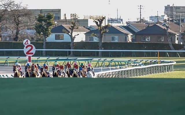 あなたは有馬記念をどこで観る？ 「ゴール前」「友人宅で」今年も特別な一日に