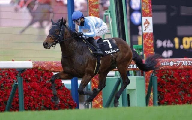 【ベストウィッシュC】3連単は318万円超の波乱…アンビバレントが4馬身差V