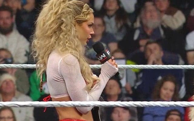 「すごい服だな」元チアの美女レスラー、“美ボディ”際立つ大胆メッシュ衣装に「スタイル良いな」「引き締まってるわ」