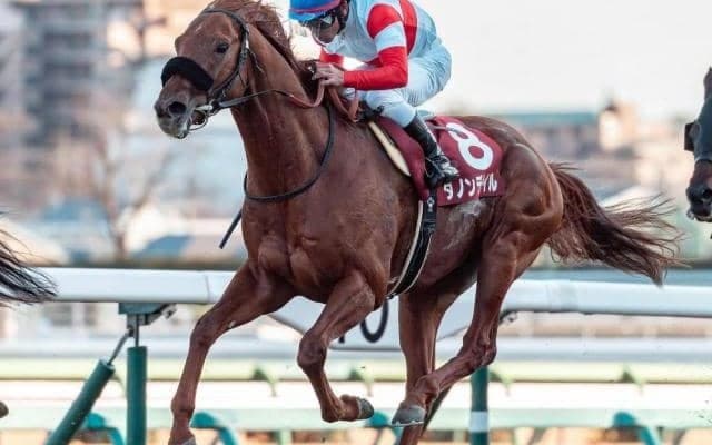霜降り明星・粗品はダノンデサイルを信頼 有馬記念は3連単＆3連複で勝負だ