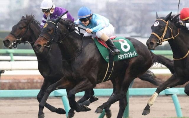 【ターコイズS】ドロップオブライトが重賞2勝目…混戦から抜け出す