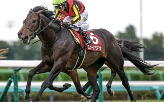 【今日の注目ポイント】2025年のJRA総決算・有馬記念