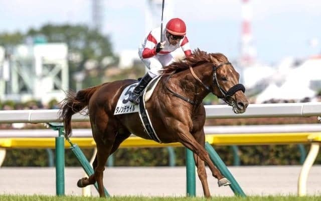 【有馬記念予想】2025年の総決算！ 中山2500mで最強馬の座につくのは