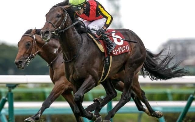 【有馬記念予想】掘れば正解が見えてくる？ 過去データから探るGI有馬記念